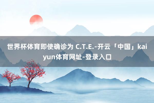 世界杯体育即使确诊为 C.T.E.-开云「中国」kaiyun体育网址-登录入口