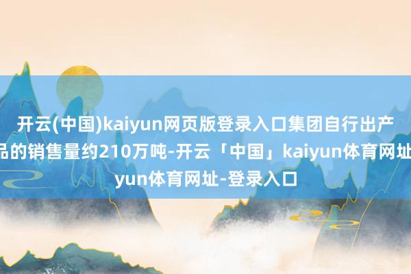 开云(中国)kaiyun网页版登录入口集团自行出产的钢铁居品的销售量约210万吨-开云「中国」kaiyun体育网址-登录入口